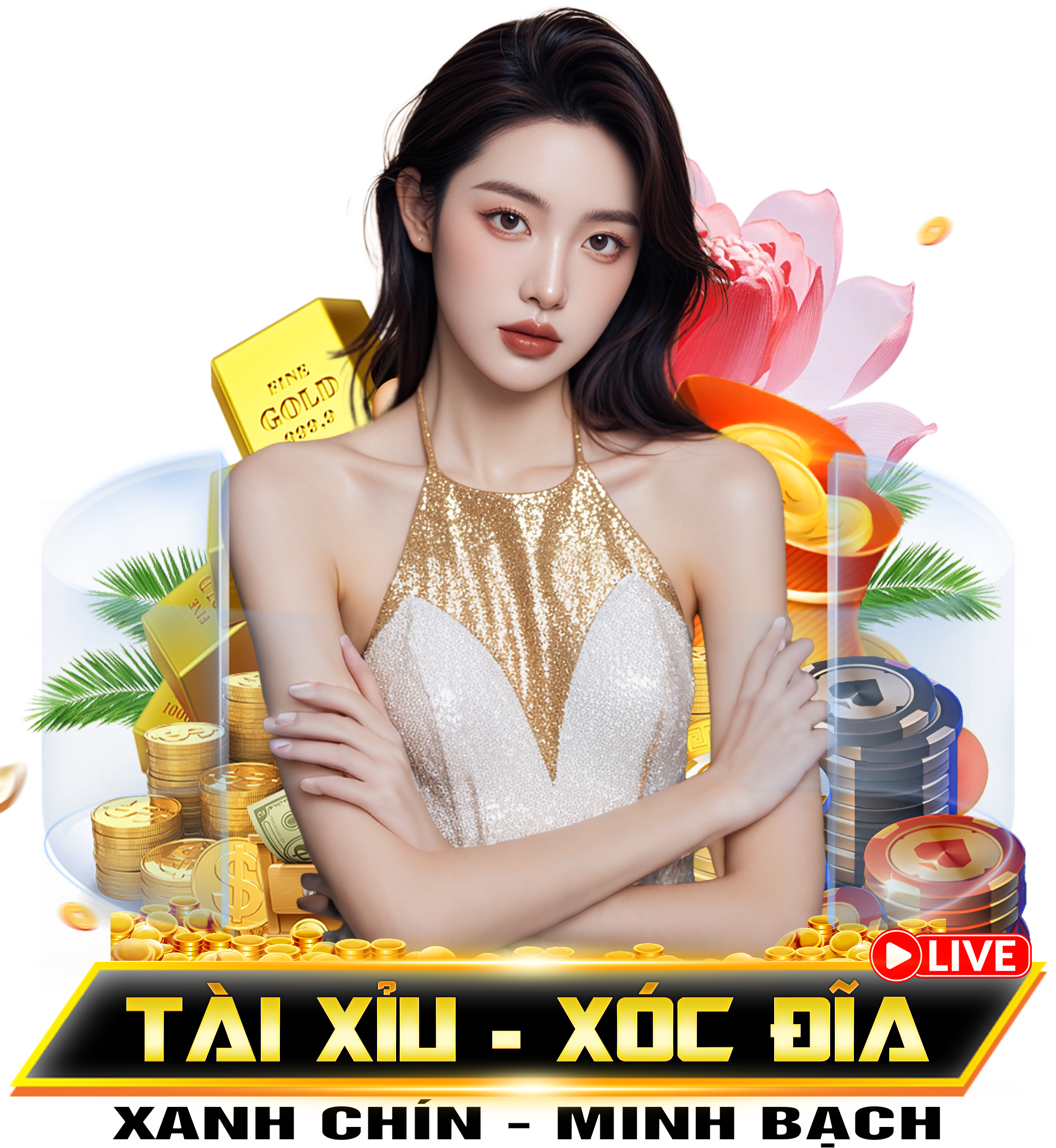 Xok102